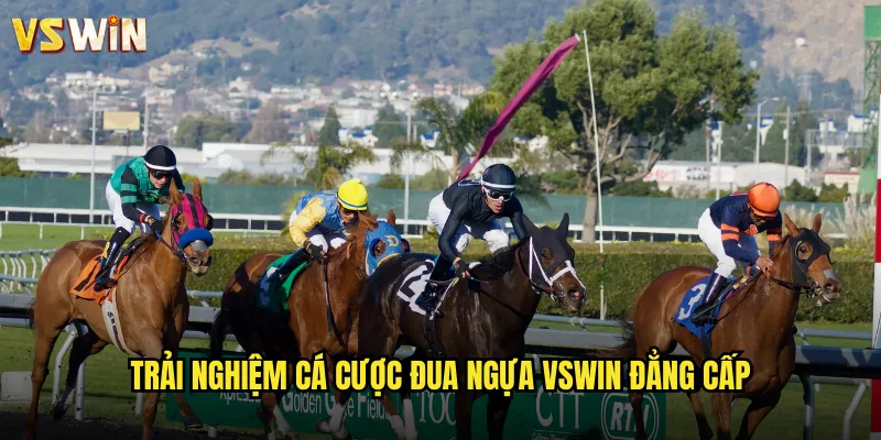 Trải nghiệm cá cược đua ngựa VSWIN đẳng cấp